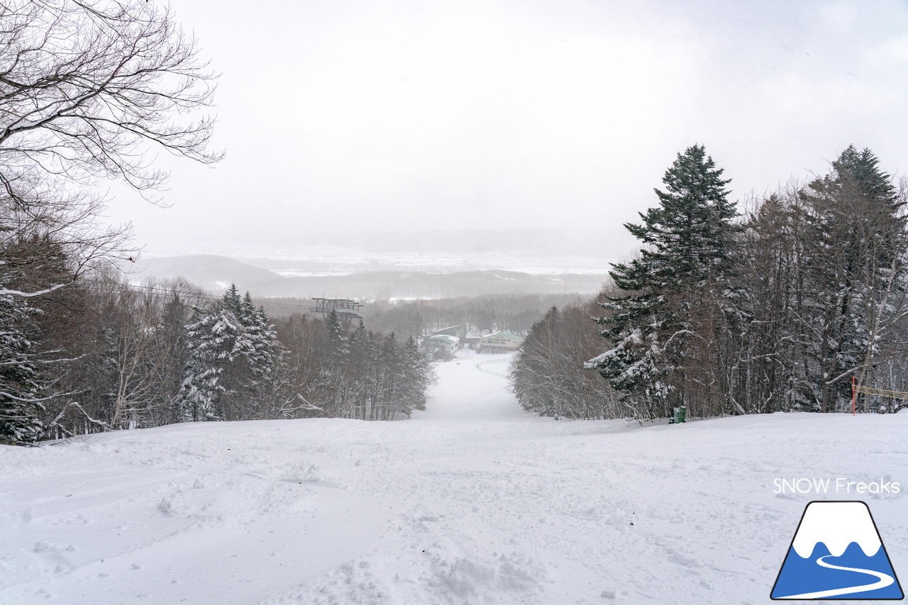 富良野スキー場｜スキーやスノーボードが初めての子供たちや初級者でも、ゲレンデの楽しさを味わえる工夫がいっぱい♪みんなに優しいスノーリゾート・富良野スキー場(^^)/
